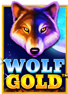 รีวิวประสบการณ์ ฝาก wallet กับเกมสล็อตยอดฮิต